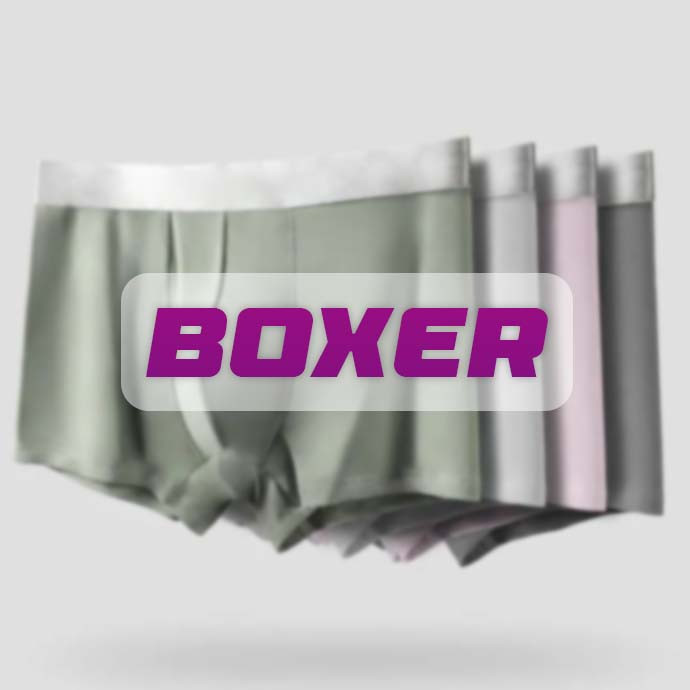 Boxer