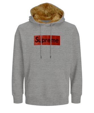 Hudi20 grey Winter Hoodie